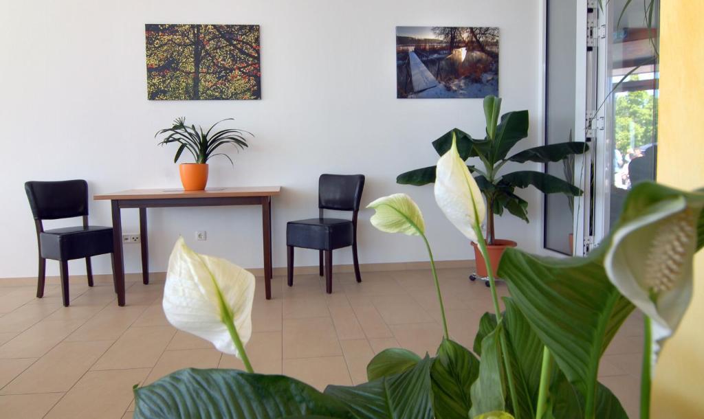 Hotel Frankenhoehe Aurach Luaran gambar